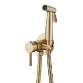 Shevanik Встроенный гигиенический душ S147G Золотой сатин от интернет-магазина Purezza 