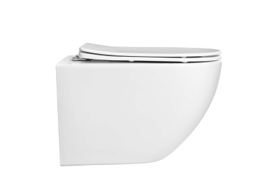 Aquatek ЕВРОПА Унитаз подвесной безободковый с сиденьем Soft Close, белый матовый, AQ1901-MW  от интернет-магазина Purezza 