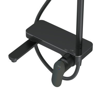 AM.PM Like Душевая система F0780722 Черный от интернет-магазина Purezza 