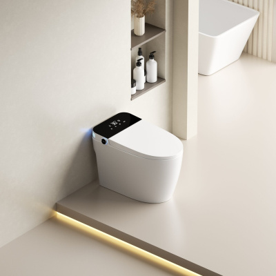 SantiLine Умный приставной электронный унитаз с функцией биде SL-5034 Белый от интернет-магазина Purezza 