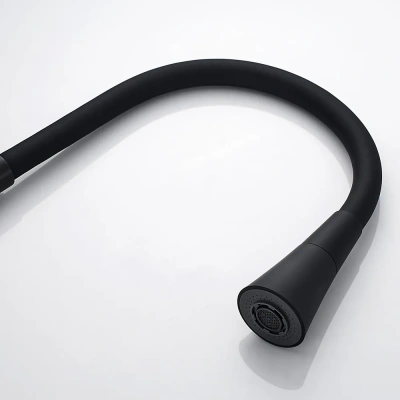 Shevanik Гибкий излив для смесителя S543H-3 SC13H Черный от интернет-магазина Purezza 