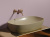 Ceramicanova Element Умывальник накладная чаша овальная 60х38 CN6049MC Капучино матовый интернет-магазин Purezza Ceramicanova Element Умывальник накладная чаша овальная 60х38 CN6049MC Капучино матовый от интернет-магазина Purezza
