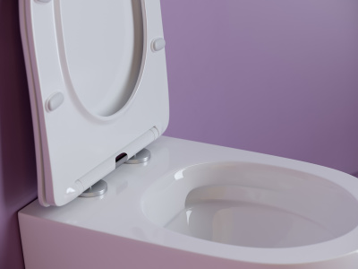 Ceramicanova Uno Rimless Подвесной унитаз CN11001 Белый от интернет-магазина Purezza 