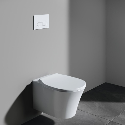 Ideal Standard OLEAS M1 SmartFlush Механическая панель смыва R0117AC Белый от интернет-магазина Purezza 