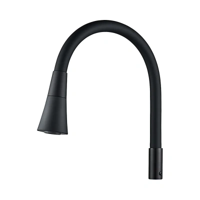 Shevanik Гибкий излив для смесителя S543H-3 SC13H Черный от интернет-магазина Purezza 