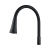 Shevanik Гибкий излив для смесителя S543H-3 SC13H Черный от интернет-магазина Purezza 
