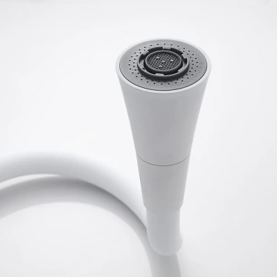 Shevanik Гибкий излив для смесителя S543C-1 SC11C Белый от интернет-магазина Purezza 