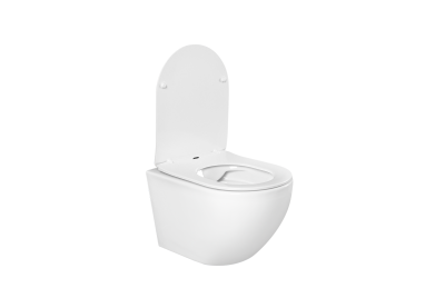 SET AQUATEK ЕВРОПА 015 4в1 (рама AQUATEK Standard INS-0000012 с клавишей KDI-0000015 и крепежом KKI-0000002+унитаз AQ1901-00 с тонким сиденьем sc) от интернет-магазина Purezza 