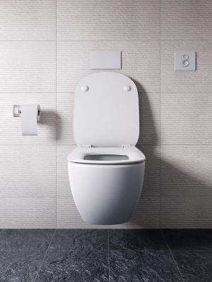 Ideal Standard SEPTA PRO Антивандальная инспекционная панель R0137AC Белый от интернет-магазина Purezza 
