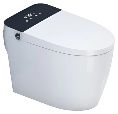 SantiLine Умный приставной электронный унитаз с функцией биде SL-5034 Белый от интернет-магазина Purezza 