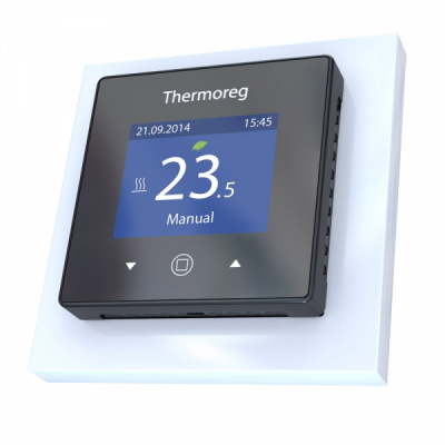 Thermo Thermoreg Ti - 970         - Purezza 