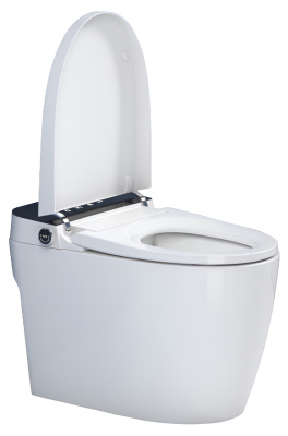 SantiLine Умный приставной электронный унитаз с функцией биде SL-5034 Белый от интернет-магазина Purezza 