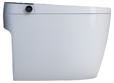 SantiLine Умный приставной электронный унитаз с функцией биде SL-5034 Белый от интернет-магазина Purezza 