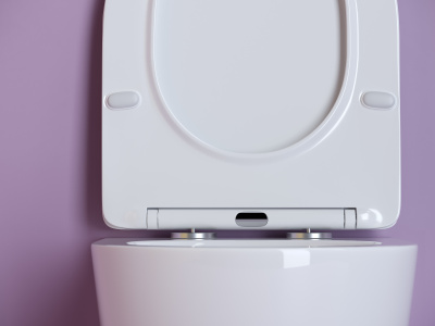 Ceramicanova Uno Rimless Подвесной унитаз CN11001 Белый от интернет-магазина Purezza 