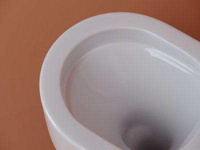 Ceramicanova Ulma Rimless Подвесной унитаз CN4006 Белый от интернет-магазина Purezza 