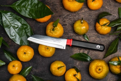 FUJI CUTLERY Овощной Нож Special series FK-405 от интернет-магазина Purezza 