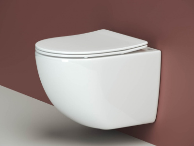 Ceramicanova Forma Rimless Подвесной унитаз CN3009 Белый от интернет-магазина Purezza 