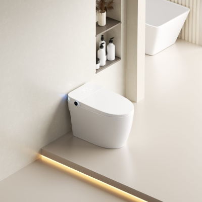 SantiLine Умный приставной электронный унитаз с функцией биде SL-5035 Белый от интернет-магазина Purezza 