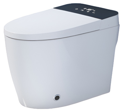 SantiLine Умный приставной электронный унитаз с функцией биде SL-5034 Белый от интернет-магазина Purezza 