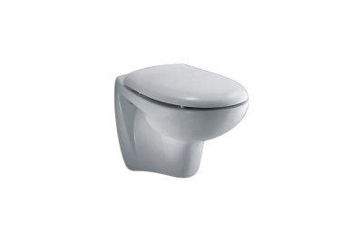 Ideal Standard OCEANE Крышка-сидение для унитаза P441001 Белый от интернет-магазина Purezza 