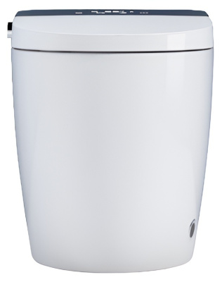 SantiLine Умный приставной электронный унитаз с функцией биде SL-5034 Белый от интернет-магазина Purezza 