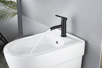 Maxonor SUPERIOR Смеситель для биде PL5087-7 Матовый черный от интернет-магазина Purezza 