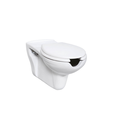 Creavit Унитаз подвесной для инвалидов BD320.00100 BD320-11CB00E-0000 Белый от интернет-магазина Purezza 