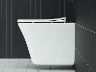 Ceramicanova Mono Rimless Подвесной унитаз CN1902 Белый от интернет-магазина Purezza 