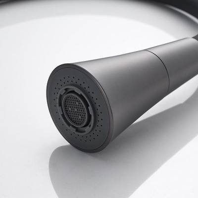 Shevanik Гибкий излив для смесителя S543T-3 SC13T Оружейная сталь от интернет-магазина Purezza 