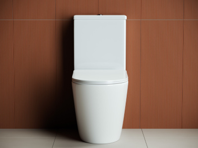 Ceramicanova Highlight Унитаз компакт напольный с бачком CN1802 Белый от интернет-магазина Purezza 