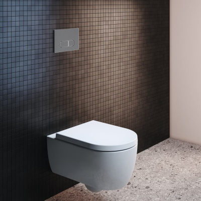 Ideal Standard OLEAS M1 SmartFlush Механическая панель смыва R0117AA от интернет-магазина Purezza 